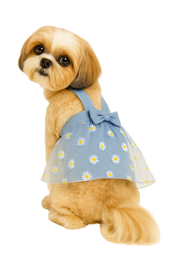 Blue Daisy Dog Dress