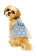 Blue Daisy Dog Dress