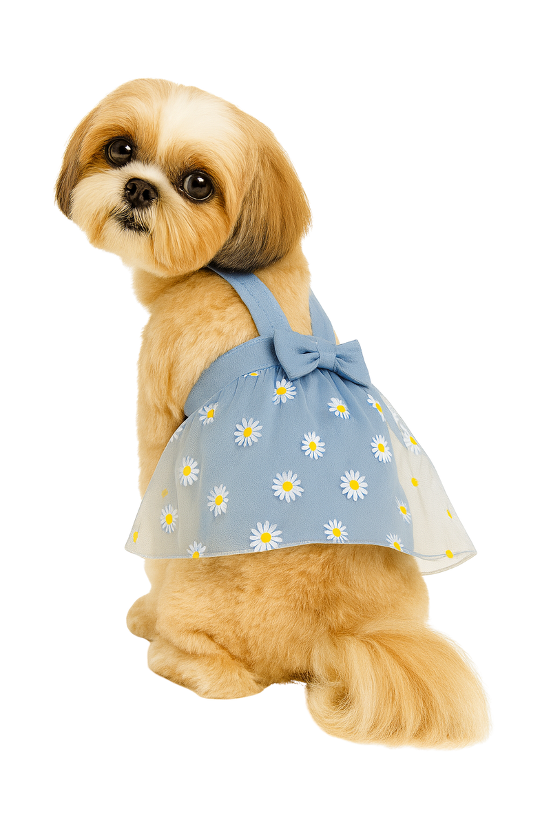 Blue Daisy Dog Dress