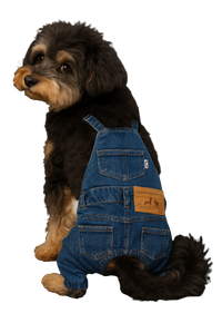 Denim Dog Overalls – Stylish & Comfortable