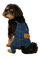 Denim Dog Overalls – Stylish & Comfortable
