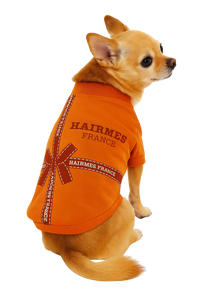Luxury "Hairmes France" Dog T-Shirt – Orange Edition