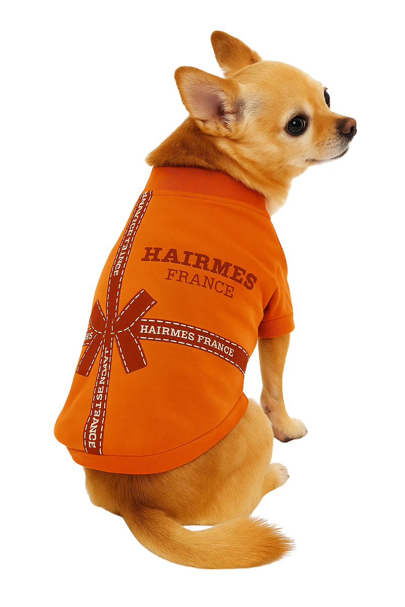 Luxury "Hairmes France" Dog T-Shirt – Orange Edition