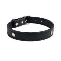 Classic Black Leather Dog Collar