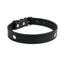 Classic Black Leather Dog Collar