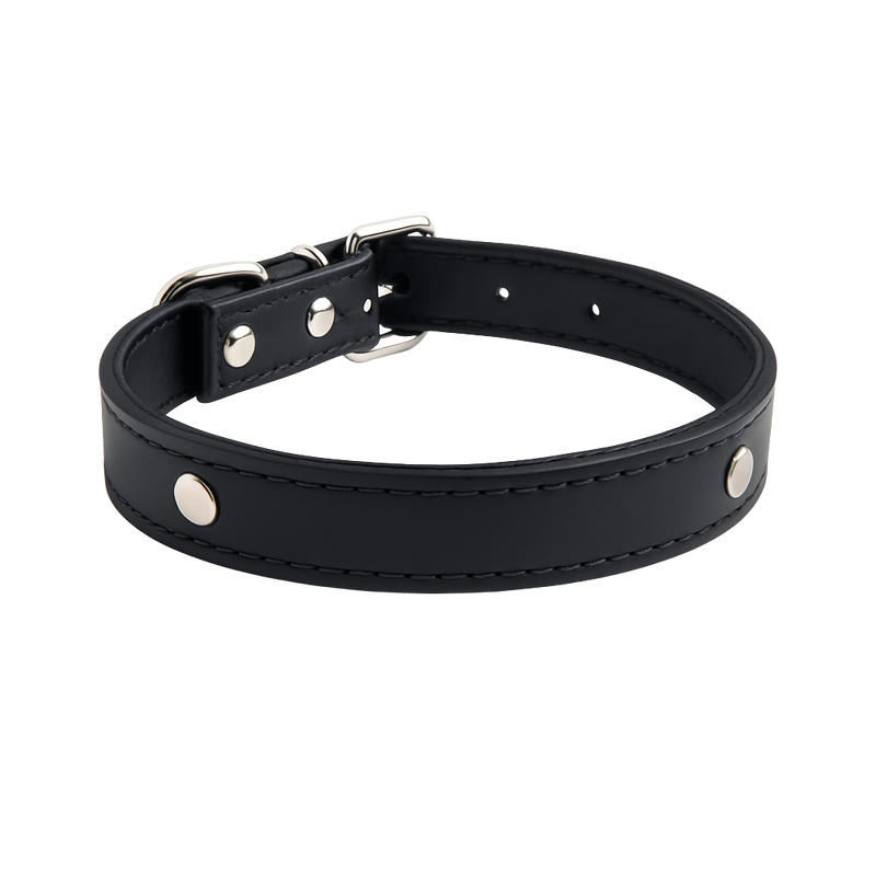 Classic Black Leather Dog Collar