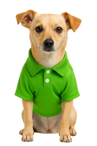 Green Polo Dog Shirt