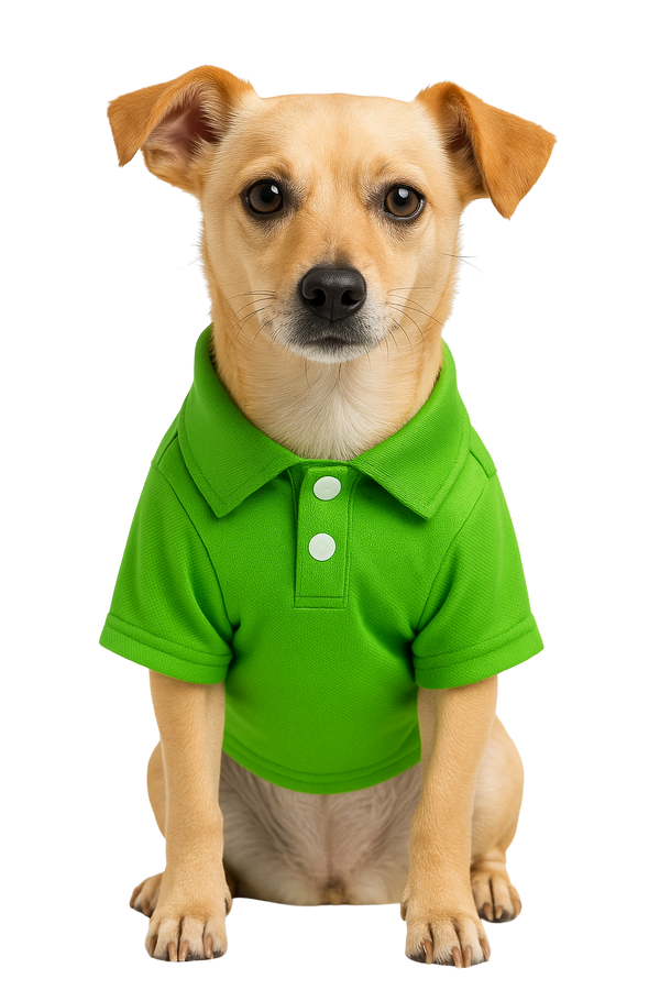 Green Polo Dog Shirt