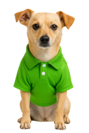 Green Polo Dog Shirt
