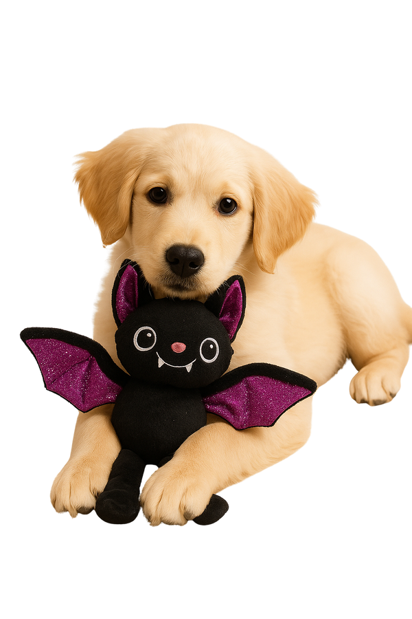 Halloween Bat Plush Dog Toy – With Squeaker