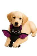 Halloween Bat Plush Dog Toy – With Squeaker