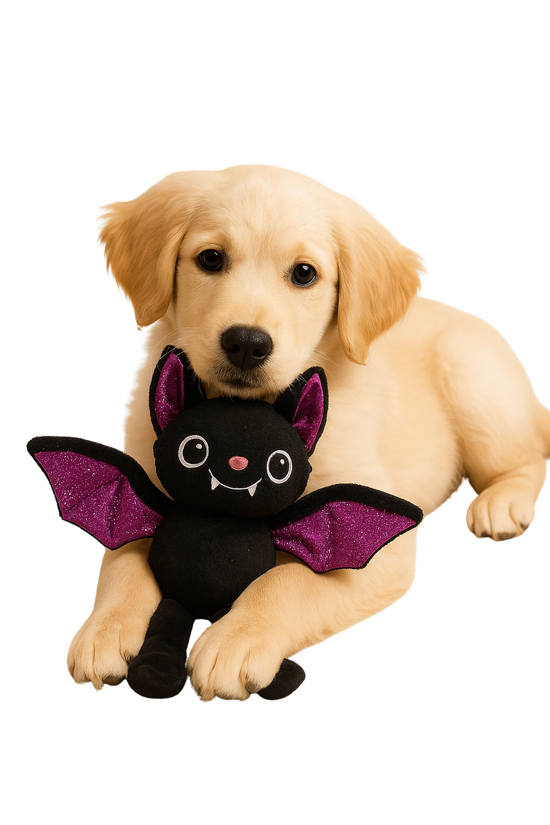 Halloween Bat Plush Dog Toy – With Squeaker