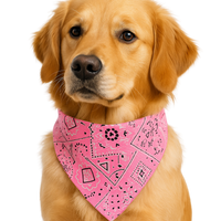 Pink Bandana Dog Collar
