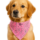 Pink Bandana Dog Collar